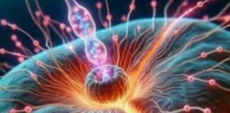 Psichiatria di precisione: promessa terapeutica o ancora riduzionismo organicista?